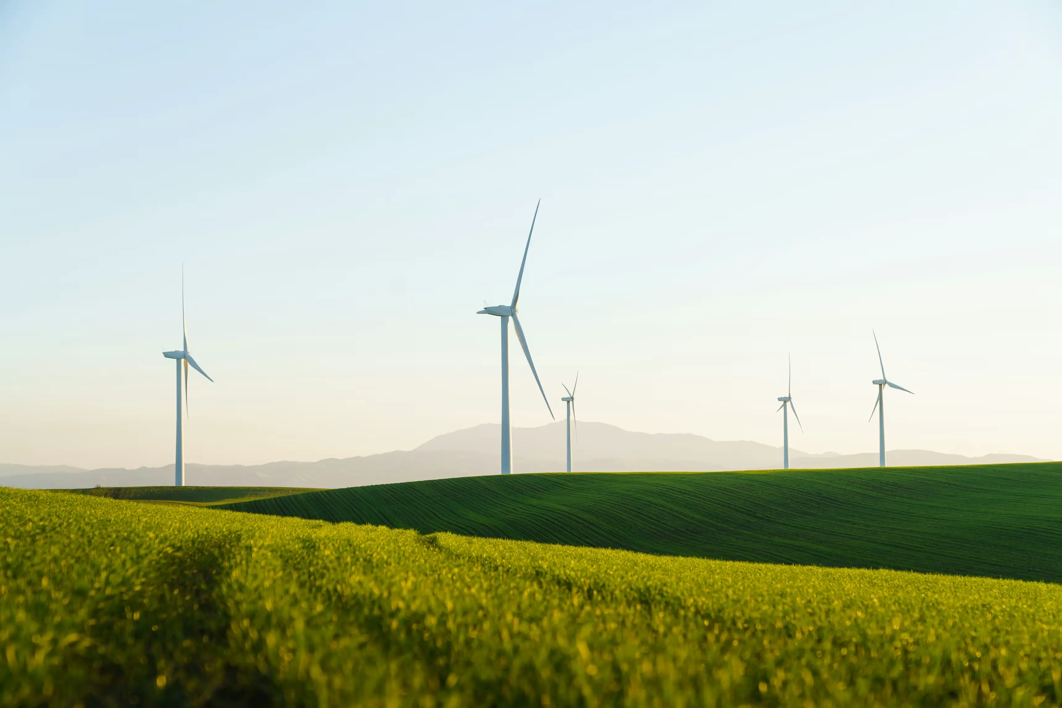 Axton Holdings sustainability initiatives